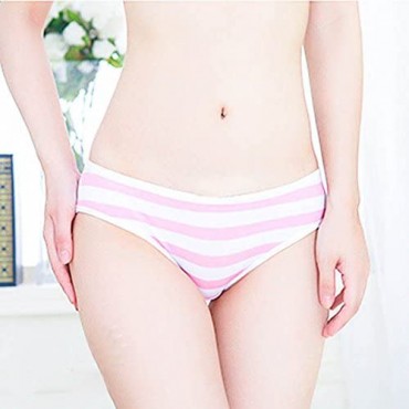 Joyralcos Japanese Striped Panties Bikini Cotton Anime Blue Pink Cosplay Underwear 2 Pack Briefs