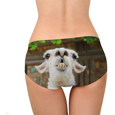 Dellukee Sexy Women Underwear Briefs Breathable Hipster Panty White Alpaca Print