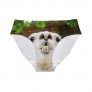 Dellukee Sexy Women Underwear Briefs Breathable Hipster Panty White Alpaca Print