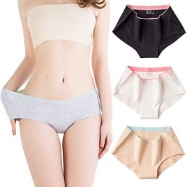 Ladies Underwear Cotton Seamless Panties for Women Mid-Rise Hipster  Women's Plus Briefs