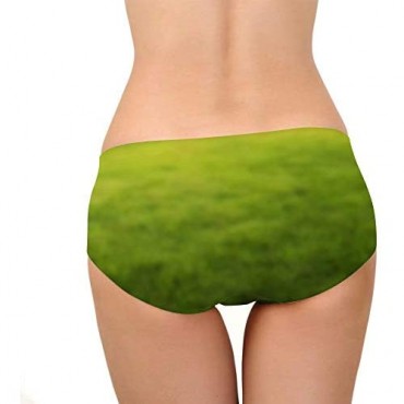 Xinind Funny Underwear for Women 3D Cute Animal Panties Hipster-Panties Low Waist Sexy Ladies Panties