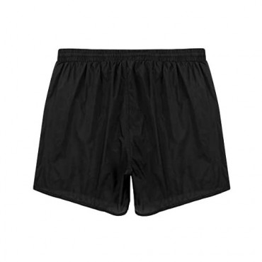 Choomomo Men's Elastic Waist See-Through Mesh Drawstring Boxer Briefs Summer Swim Trunks Underwear