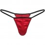 QinCiao Men's Silk Satin Underwear Low Rise Frilly Sissy Panties Bikini Briefs Crossdress Lingerie