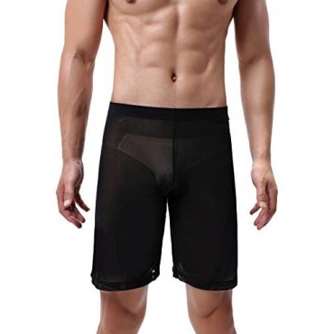 Evankin Men's See Through Shorts Mesh Loose Shorts Lounge Underwear Cover up Boxer Trunks