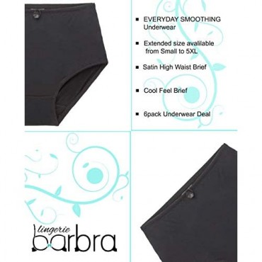 Barbra Lingerie Women's 6 Pack High Waist Cool Feel Brief Underwear Panties Small to 5XL