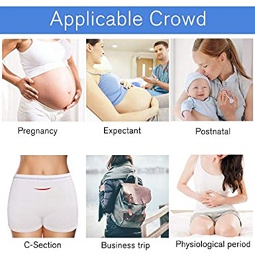 Disposable Postpartum Underwear 10 Pack Mesh Postpartum Underwear Women C Section