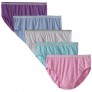 Fruit of the Loom Women's Plus Size "Fit For Me" 5 Pack Heather Hi-Cut Panties