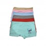 JC Fashion New 6 pcs lot Flower Print Multicolored Cotton boy Shorts Underwear Panties-Small